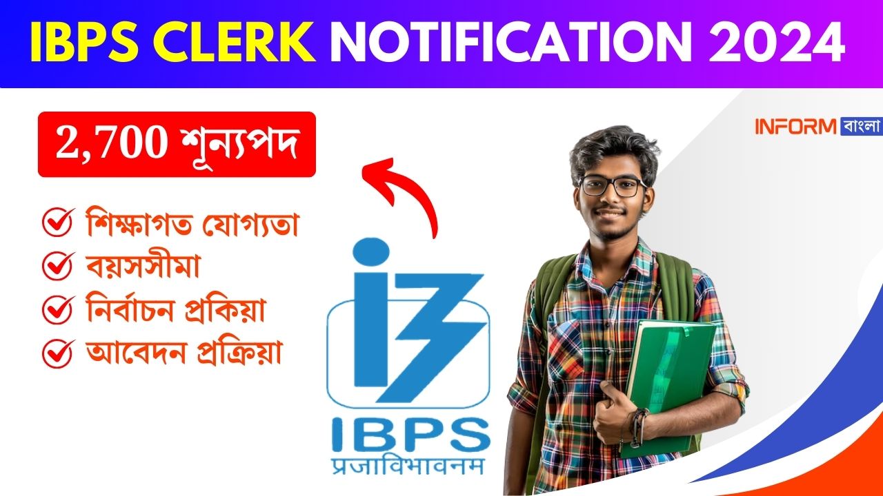 ibps clerk notification 2024